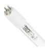 Philips T5 UV - C HO 145W - Ultravioletti | 155cm - 4 - Pin - UNP